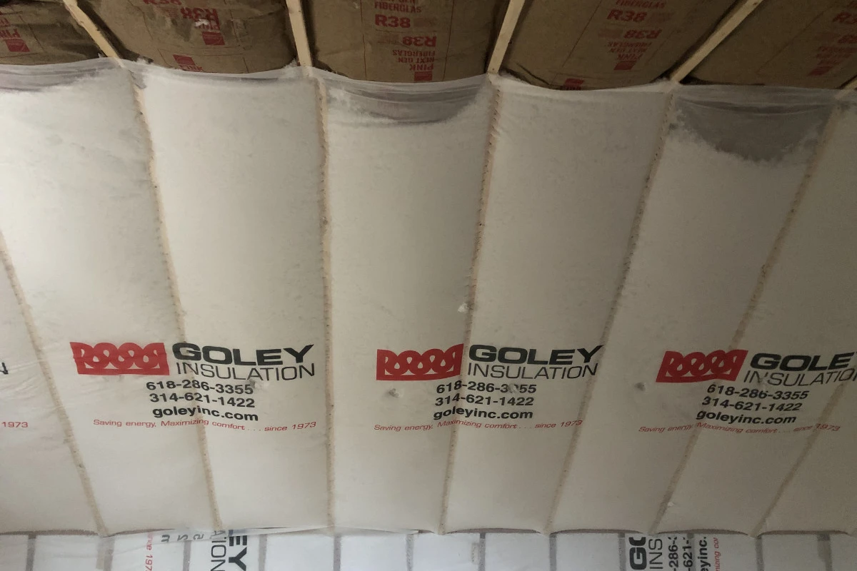 BIBS